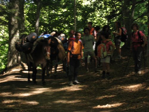 trekking con i muli-2.JPG